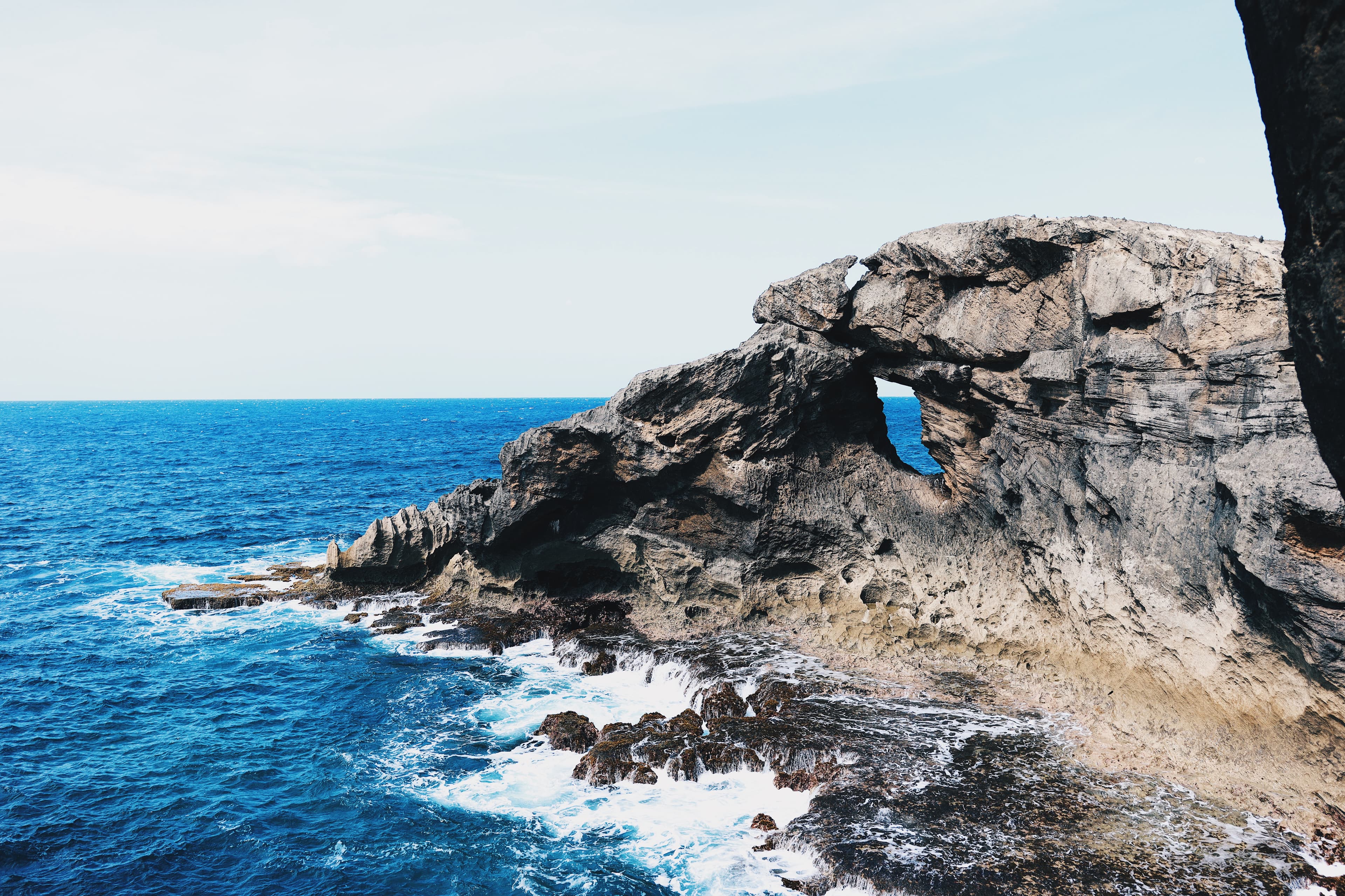 Ocean & Coastal Conservation